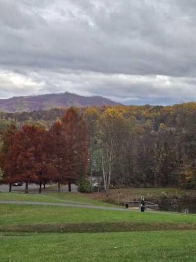 Johnson City Dog Park at Willow Springs [MEMBERS ONLY] - Johnson City, TN