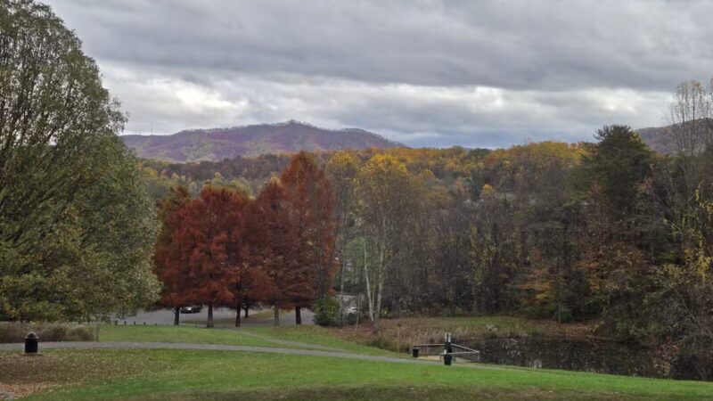Johnson City Dog Park at Willow Springs [MEMBERS ONLY] - Johnson City, TN
