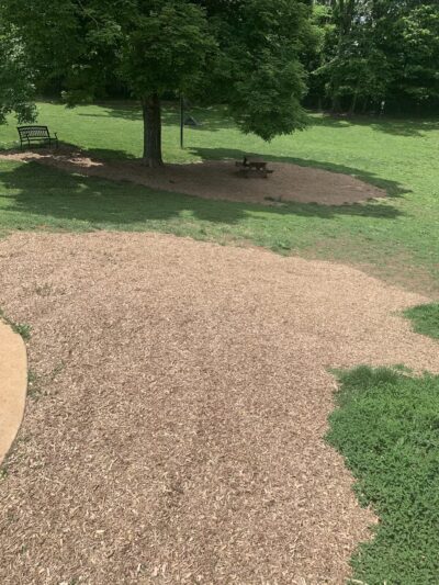 Johnson City Dog Park at Willow Springs [MEMBERS ONLY] - Johnson City, TN