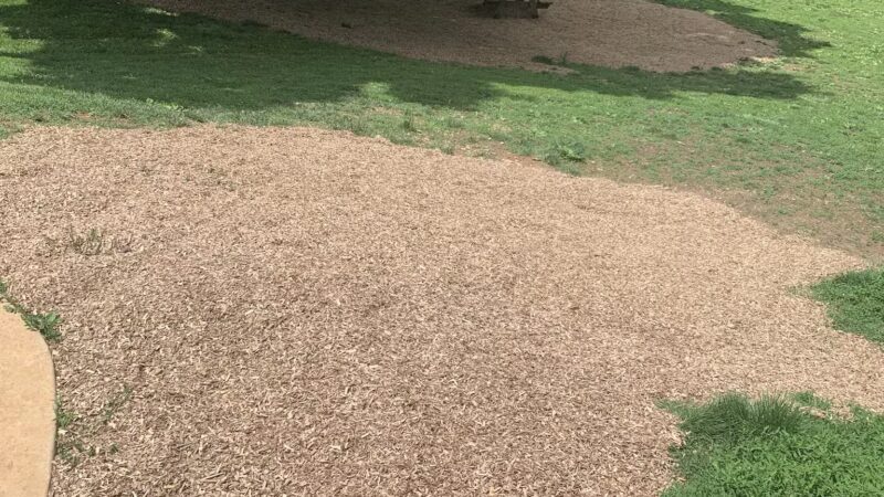 Johnson City Dog Park at Willow Springs [MEMBERS ONLY] - Johnson City, TN
