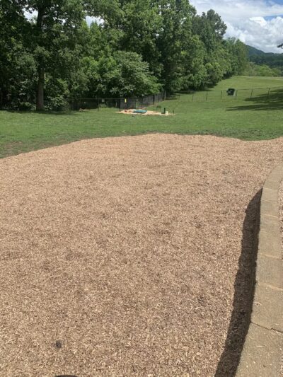 Johnson City Dog Park at Willow Springs [MEMBERS ONLY] - Johnson City, TN