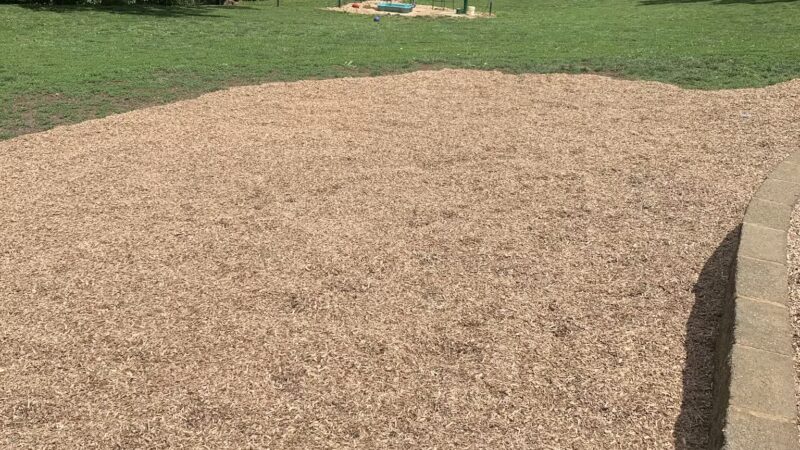 Johnson City Dog Park at Willow Springs [MEMBERS ONLY] - Johnson City, TN