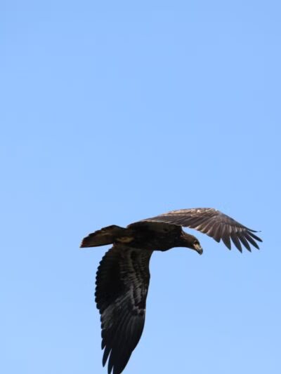Joppatowne Park Fishing - Joppatowne, MD