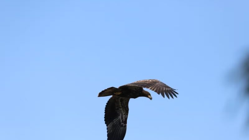 Joppatowne Park Fishing - Joppatowne, MD