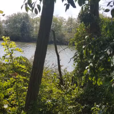Joppatowne Park Fishing - Joppatowne, MD