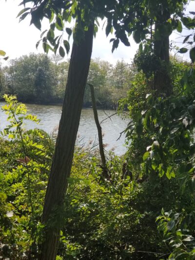 Joppatowne Park Fishing - Joppatowne, MD