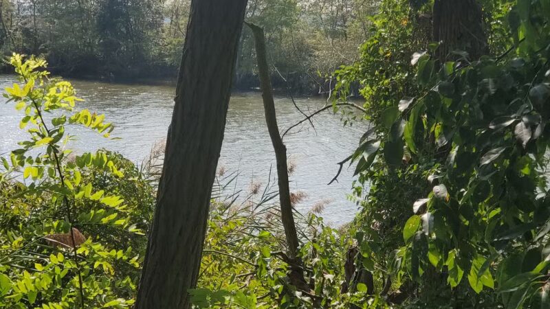 Joppatowne Park Fishing - Joppatowne, MD