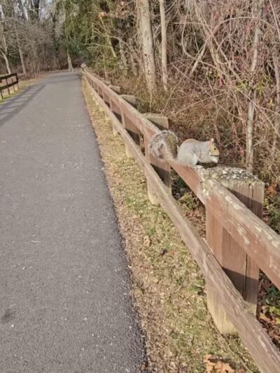 Joppatowne Park Fishing - Joppatowne, MD
