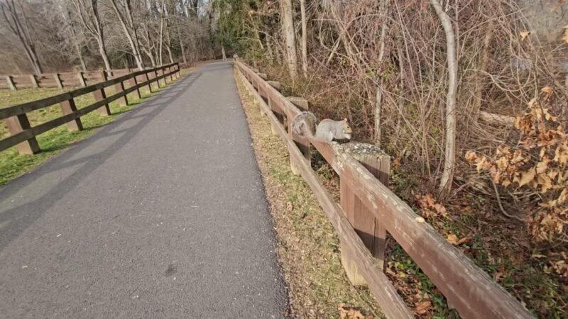 Joppatowne Park Fishing - Joppatowne, MD