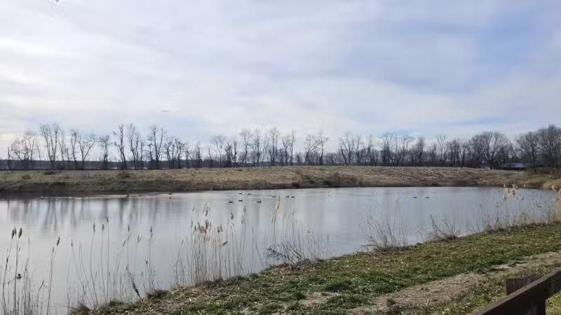 Joppatowne Park Fishing - Joppatowne, MD