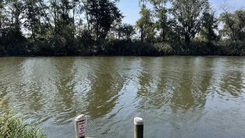 Mariner Point Park - Joppatowne, MD