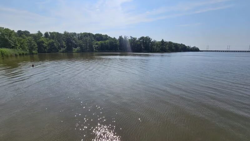 Mariner Point Park - Joppatowne, MD