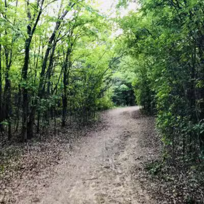 K9 Pointe Dog Park - Keller, TX