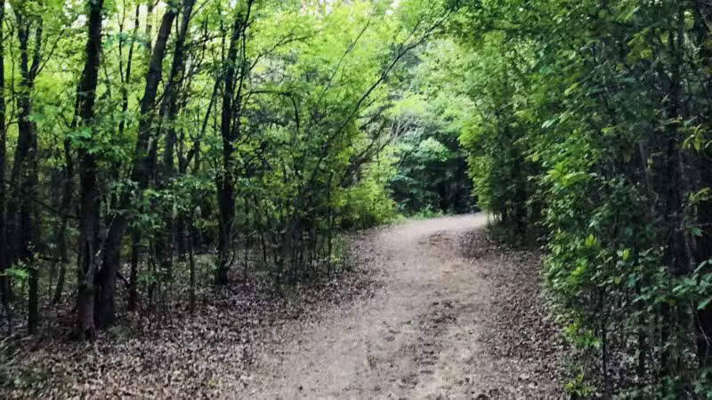 K9 Pointe Dog Park - Keller, TX