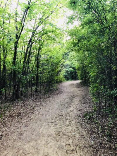 K9 Pointe Dog Park - Keller, TX