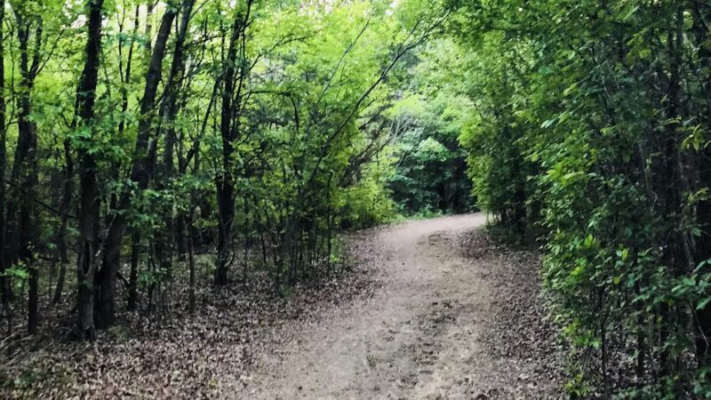 K9 Pointe Dog Park - Keller, TX