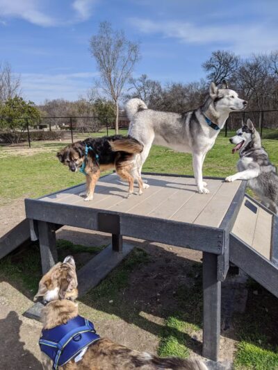 K9 Pointe Dog Park - Keller, TX