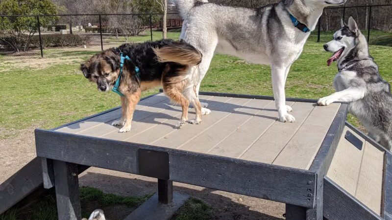 K9 Pointe Dog Park - Keller, TX