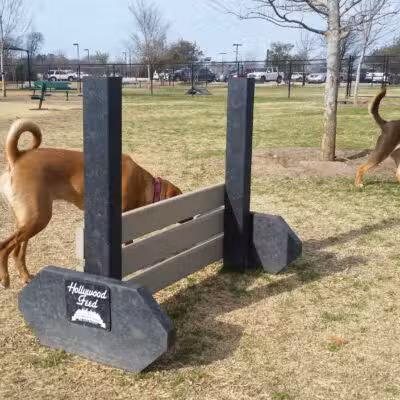 K9 Pointe Dog Park - Keller, TX