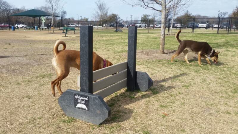 K9 Pointe Dog Park - Keller, TX