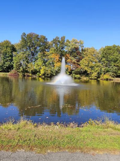 Black Brook Park - Kenilworth, NJ