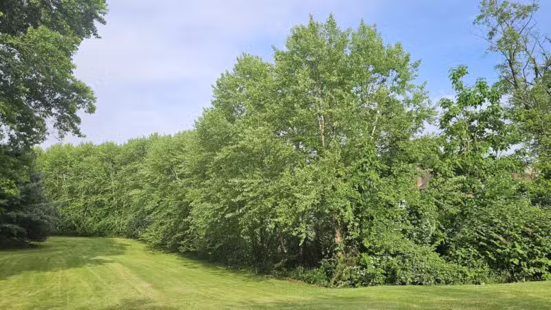 Black Brook Park - Kenilworth, NJ