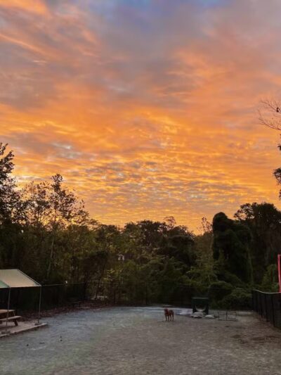 Kensington Dog Run - Kensington, MD