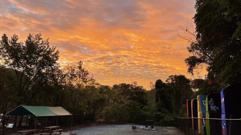 Kensington Dog Run - Kensington, MD