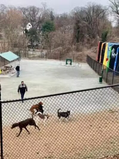 Kensington Dog Run - Kensington, MD