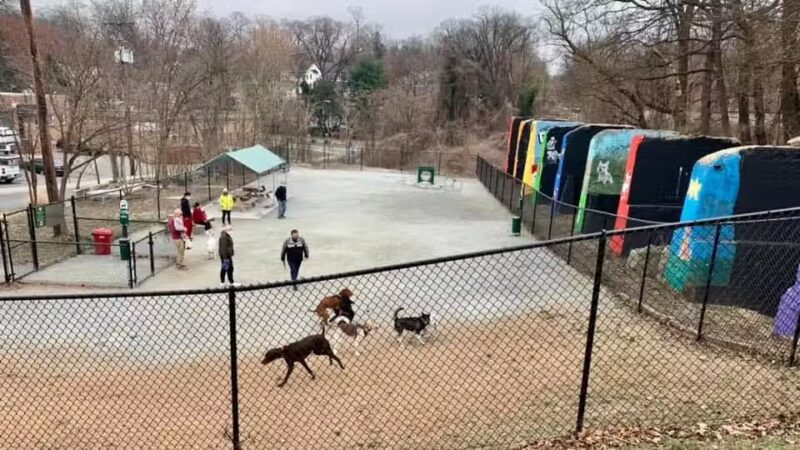 Kensington Dog Run - Kensington, MD