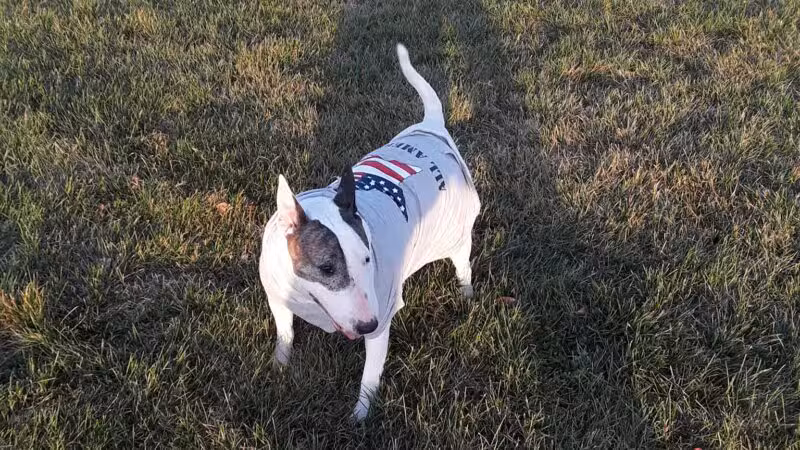 Bonita Ranch Park - Keyes, CA