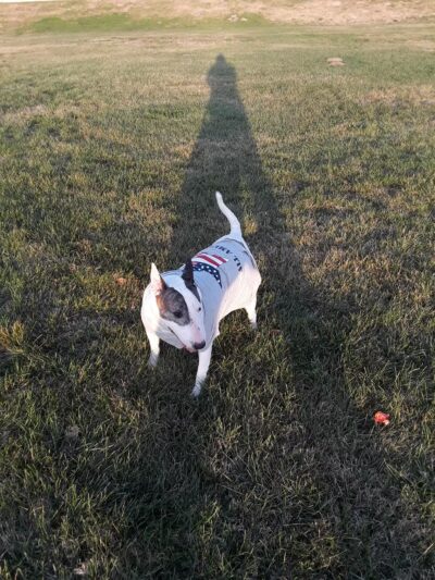 Bonita Ranch Park - Keyes, CA