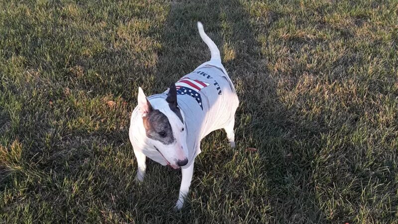 Bonita Ranch Park - Keyes, CA