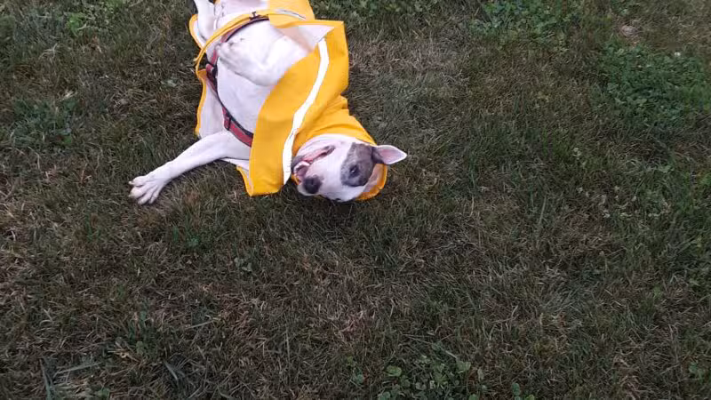 Bonita Ranch Park - Keyes, CA