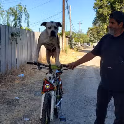 Hatch Park - Keyes, CA
