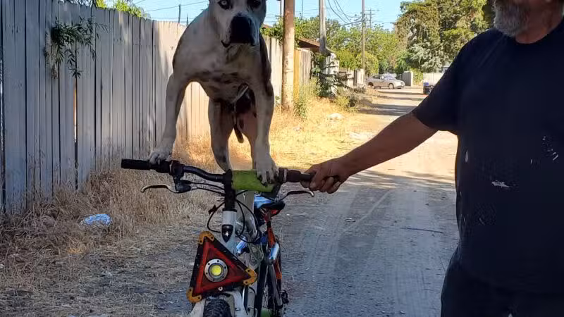 Hatch Park - Keyes, CA