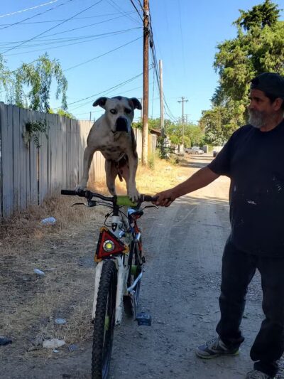 Hatch Park - Keyes, CA
