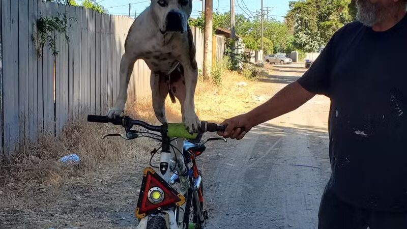 Hatch Park - Keyes, CA