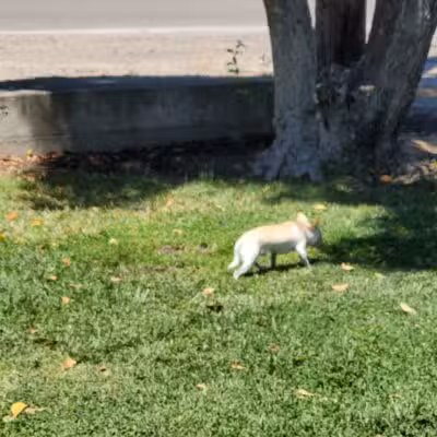 Hatch Park - Keyes, CA