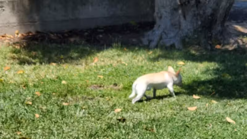 Hatch Park - Keyes, CA