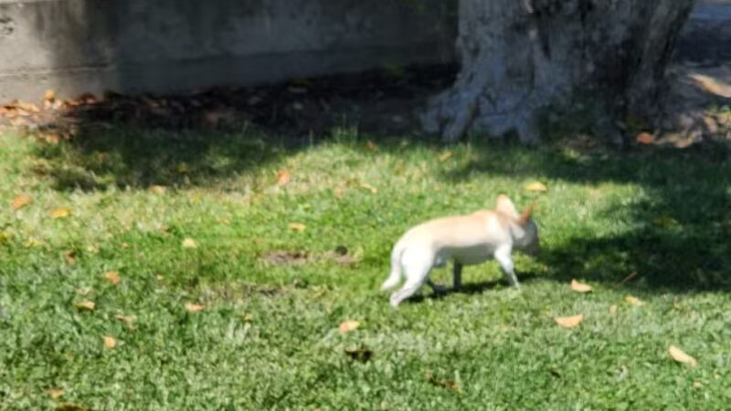 Hatch Park - Keyes, CA
