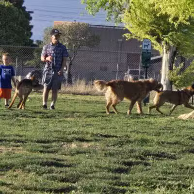 Centennial Park Dog Run - Kingman, AZ