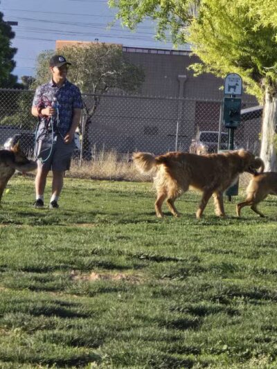 Centennial Park Dog Run - Kingman, AZ