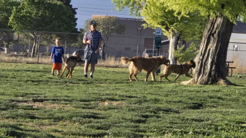 Centennial Park Dog Run - Kingman, AZ