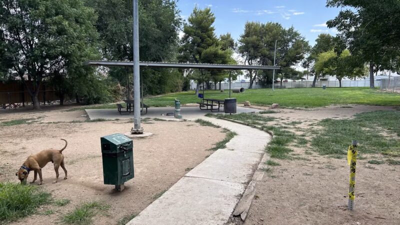 Kingman Dog Park - Kingman, AZ