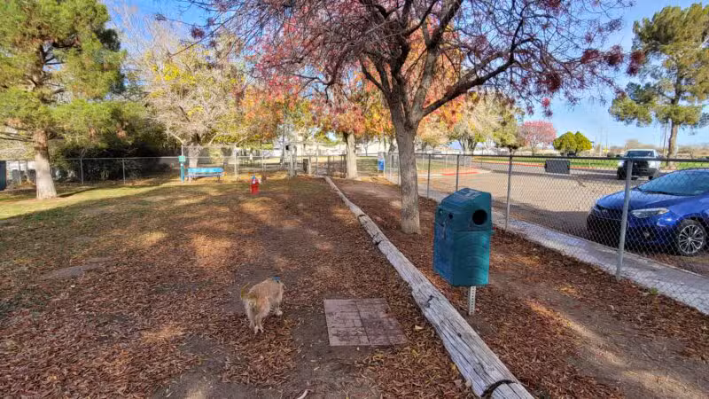Kingman Dog Park - Kingman, AZ
