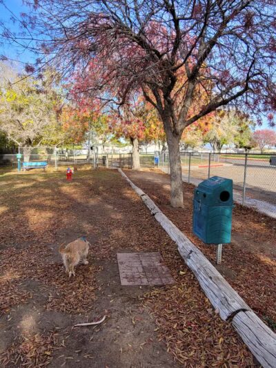 Kingman Dog Park - Kingman, AZ