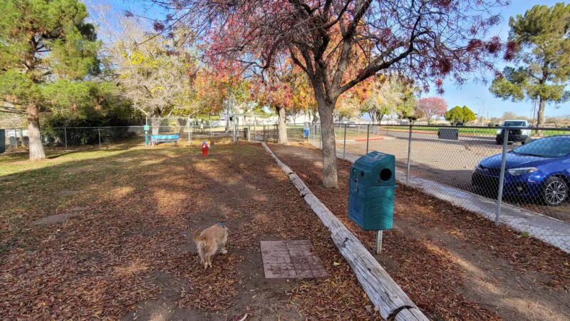 Kingman Dog Park - Kingman, AZ