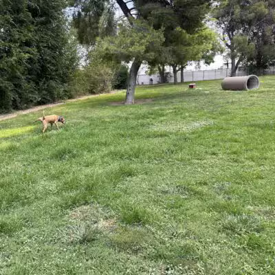 Kingman Dog Park - Kingman, AZ