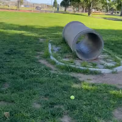 Kingman Dog Park - Kingman, AZ